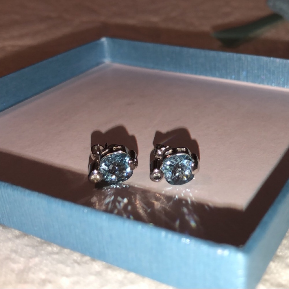 Nancy B  (december birthstone) earrings